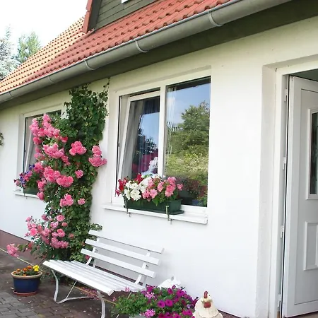 Vermietung Wenzel Lejlighed *