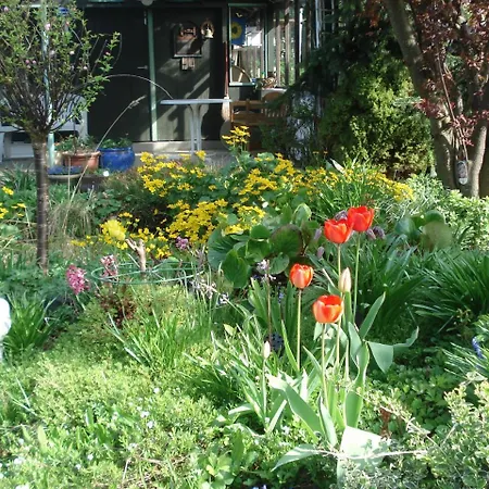 Apartament Vermietung Wenzel Stralsund