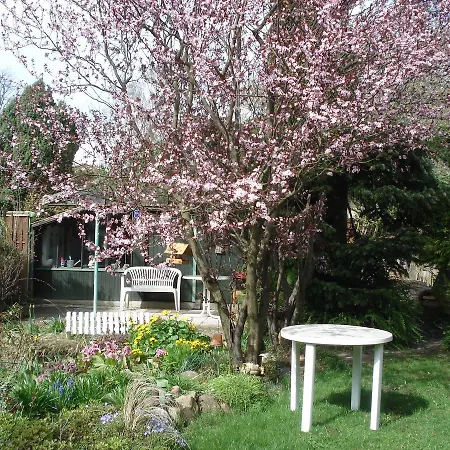 Vermietung Wenzel Apartament